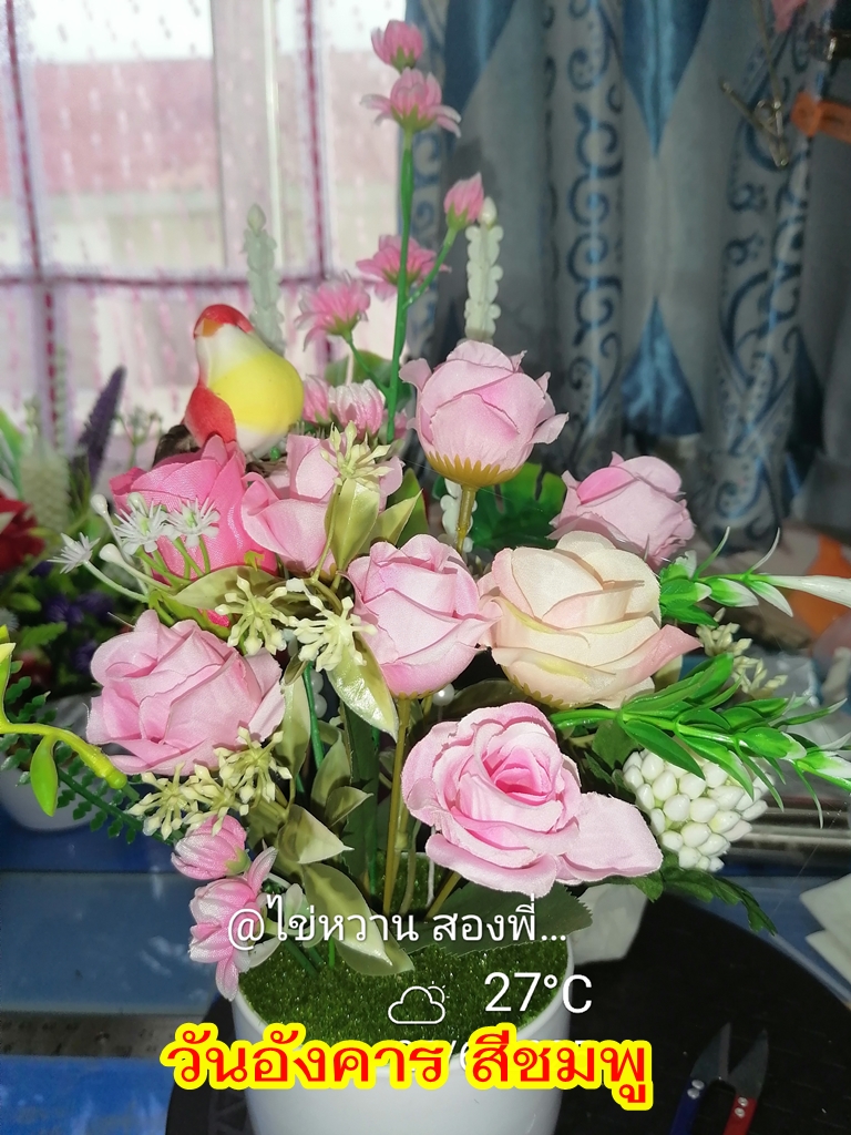 03-อังคารสีชมพู.jpg
