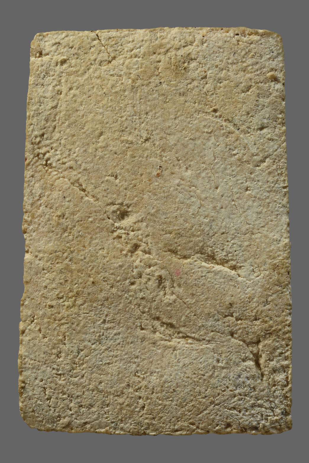 1742906173911.jpg