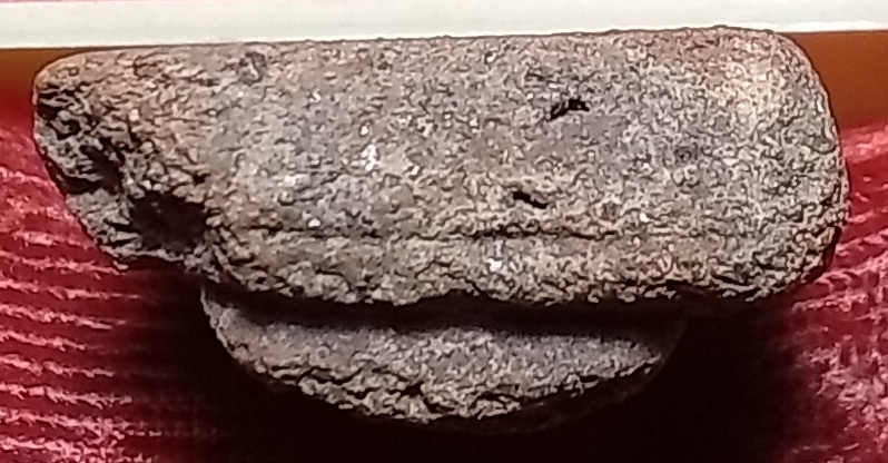 20250327_205025.jpg