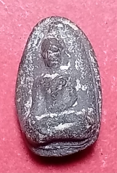 20250428_111412.jpg