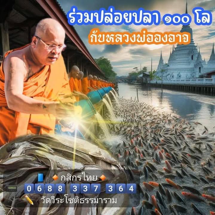 FB_IMG_1745413792104.jpg